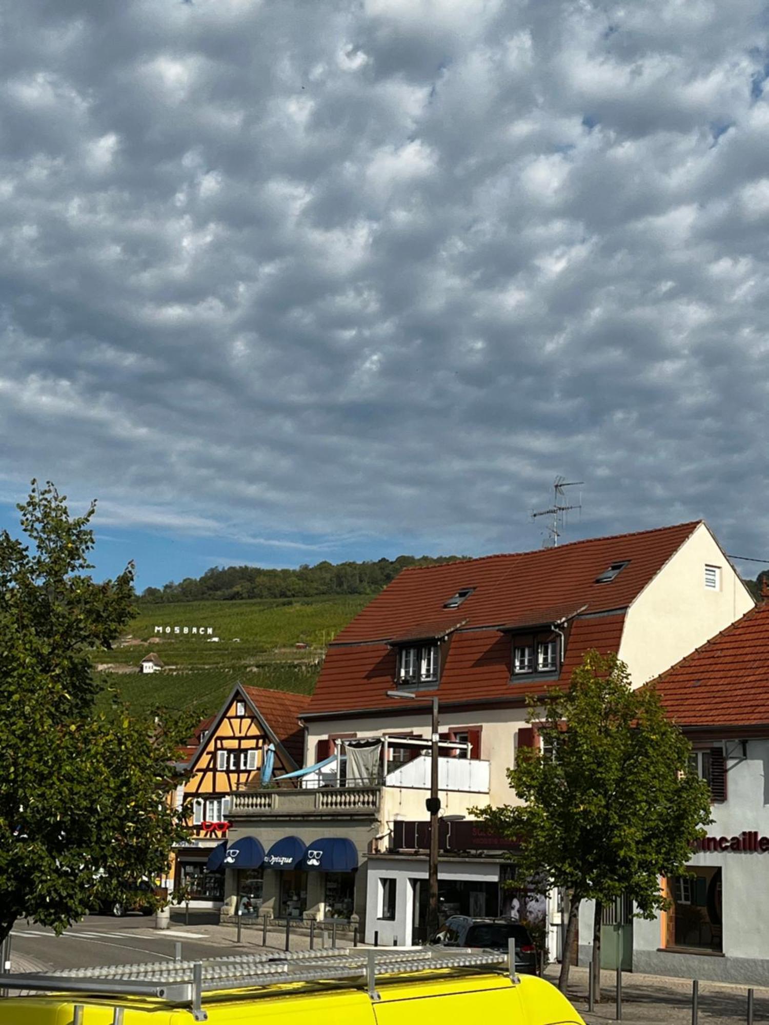 Les Chambres Du Marlenberg Марленхайм Экстерьер фото